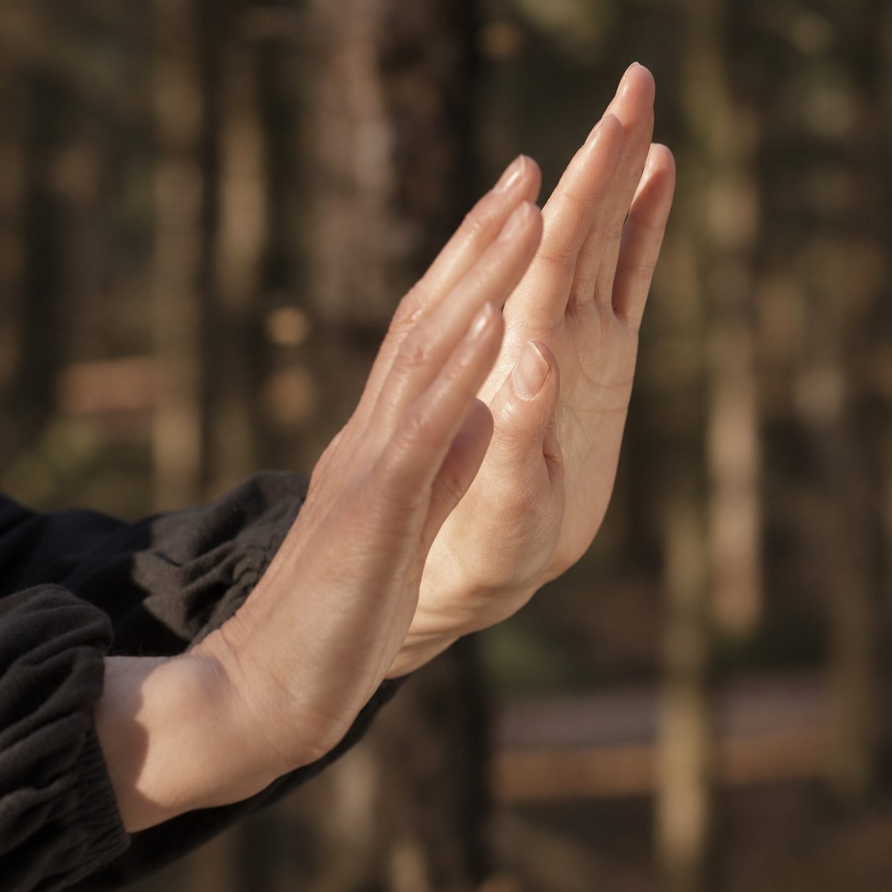 Handen in een Qigong-houding